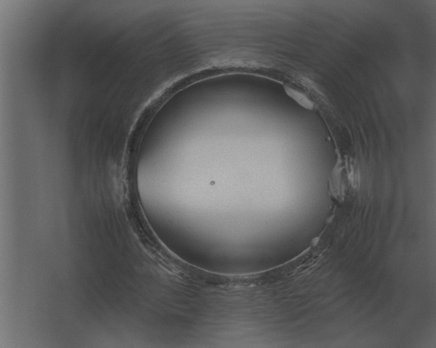 X0000067520388200604211822