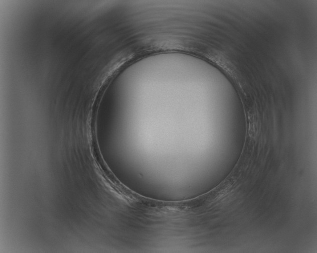 X0000067520390200604211822