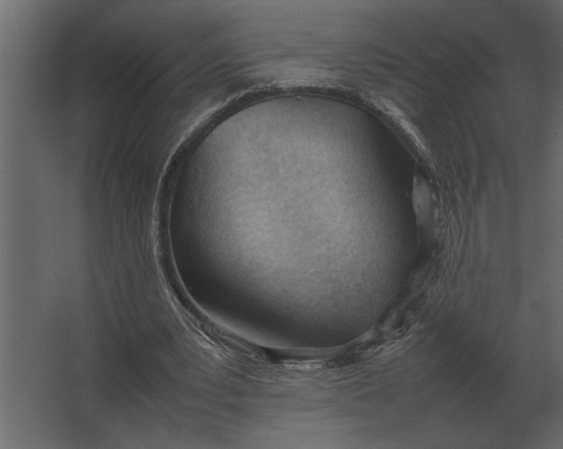 X0000067520391200604211822