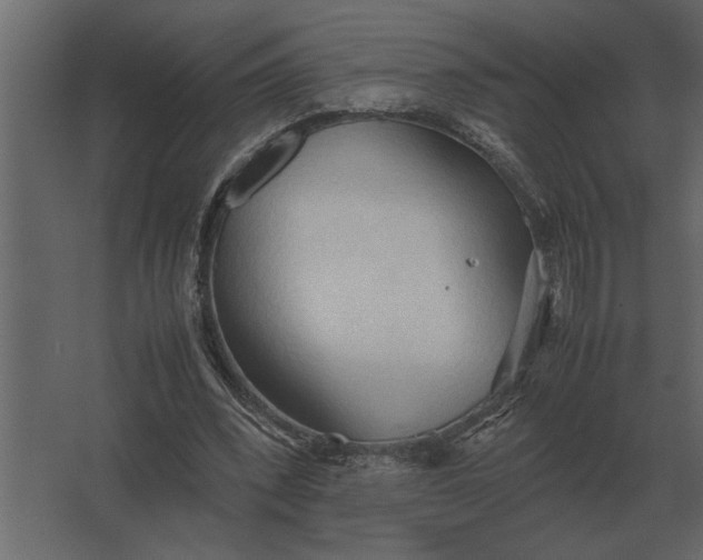 X0000067520392200604211822