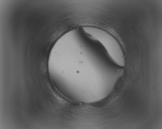 X0000067520393200604211822