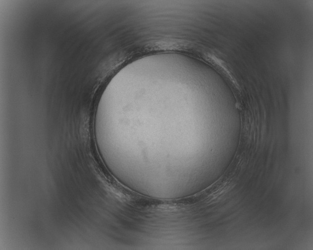 X0000067520394200604211822