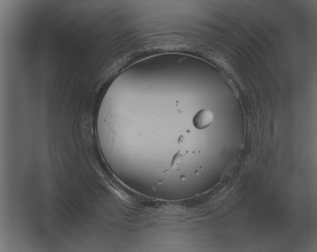 X0000067520397200604211822