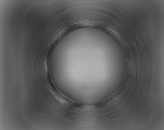 X0000067520398200604211822