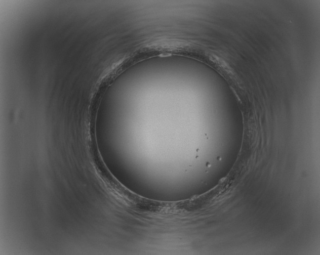 X0000067520399200604211822