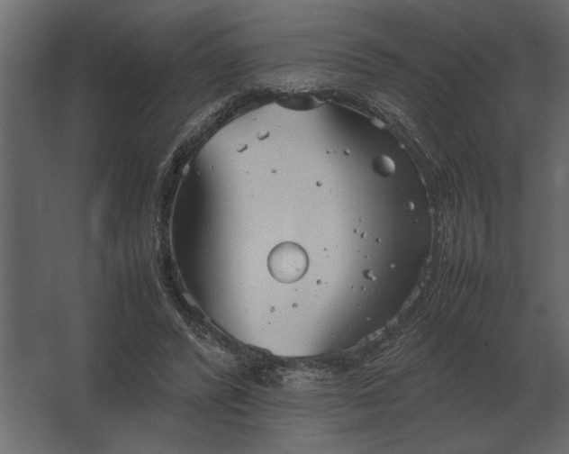 X0000067520400200604211822