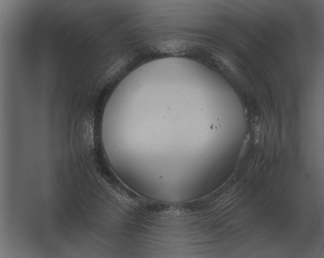 X0000067520404200604211822