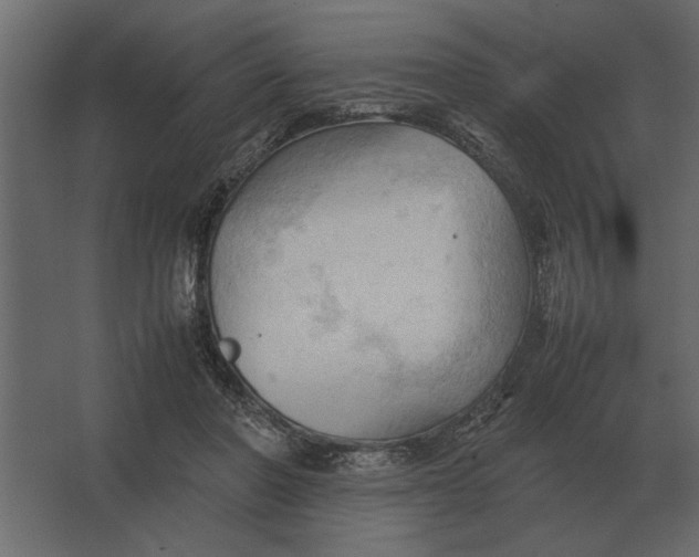 X0000067520406200604211822