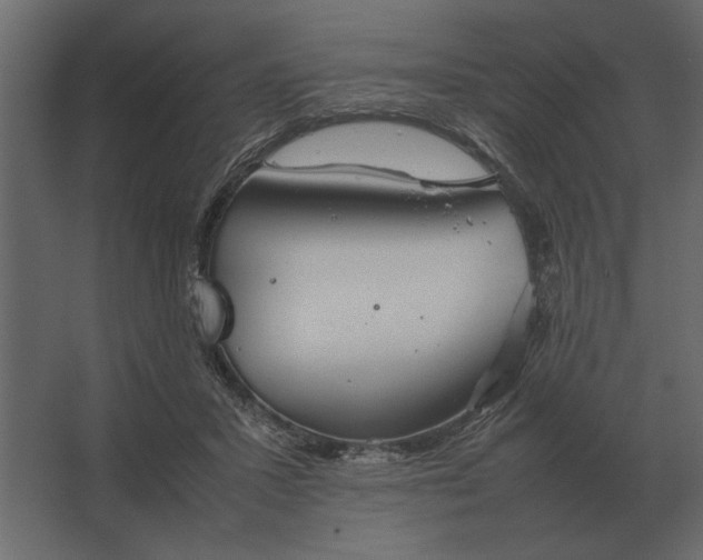 X0000067520407200604211822