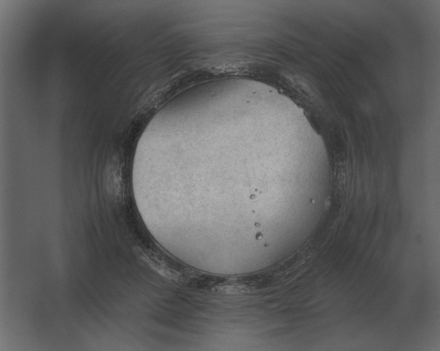 X0000067520408200604211822