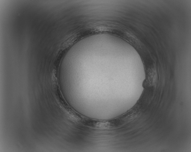 X0000067520410200604211822