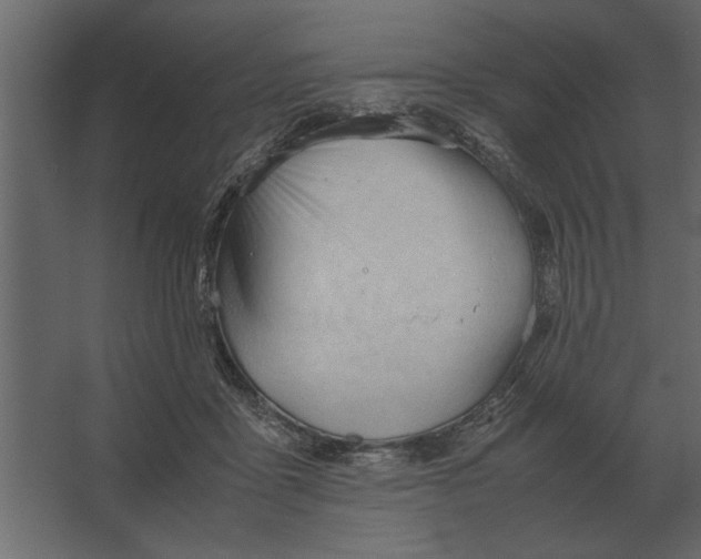 X0000067520411200604211822