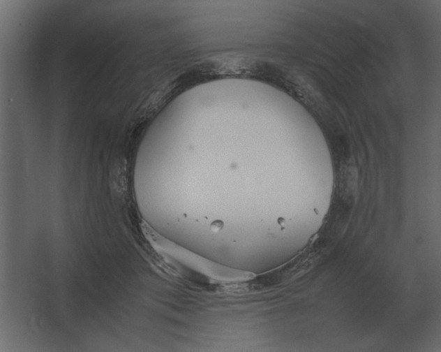 X0000067520413200604211822