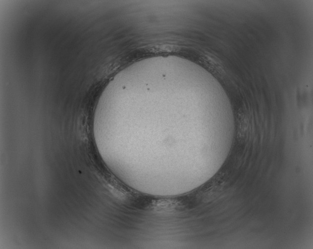 X0000067520414200604211822