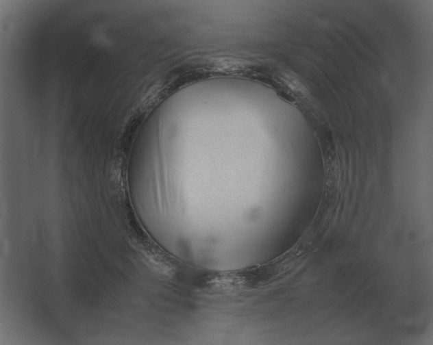 X0000067520415200604211822