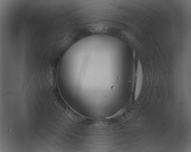 X0000067520416200604211822