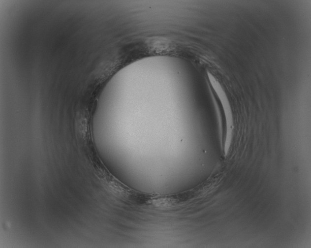 X0000067520417200604211822