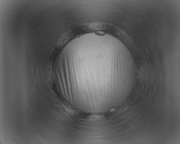 X0000067520418200604211822