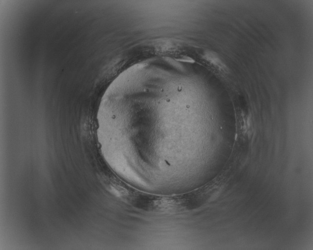 X0000067520419200604211822