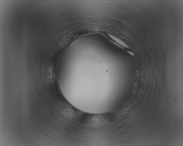 X0000067520420200604211822