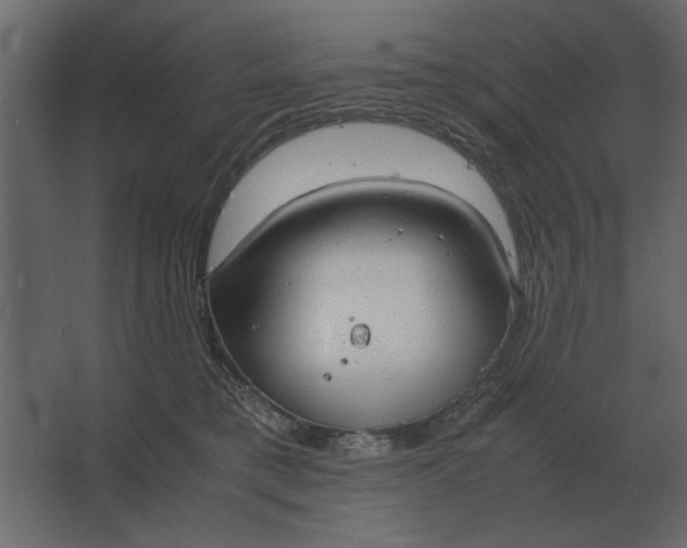 X0000067520421200604211822