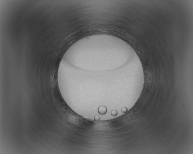 X0000067520422200604211822