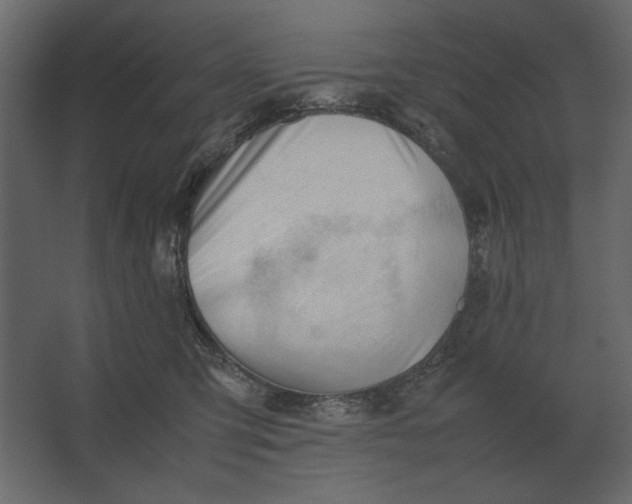 X0000067520423200604211822