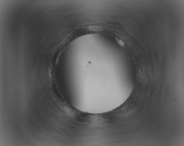 X0000067520424200604211822