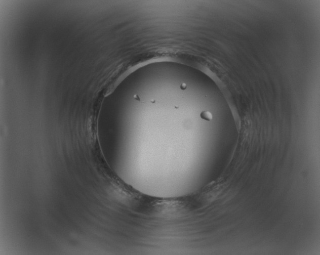 X0000067520428200604211822