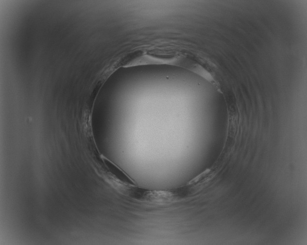 X0000067520429200604211822