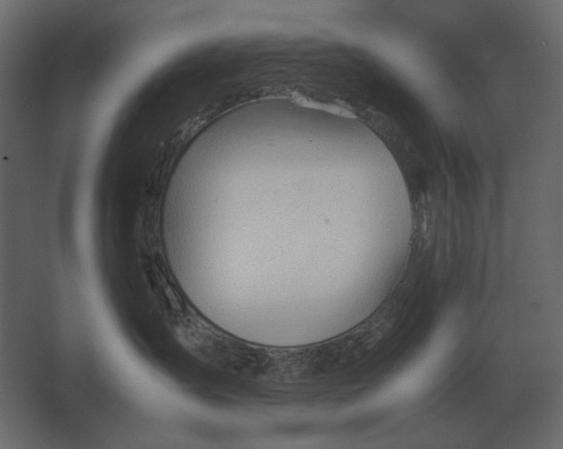 X0000067520431200604211822