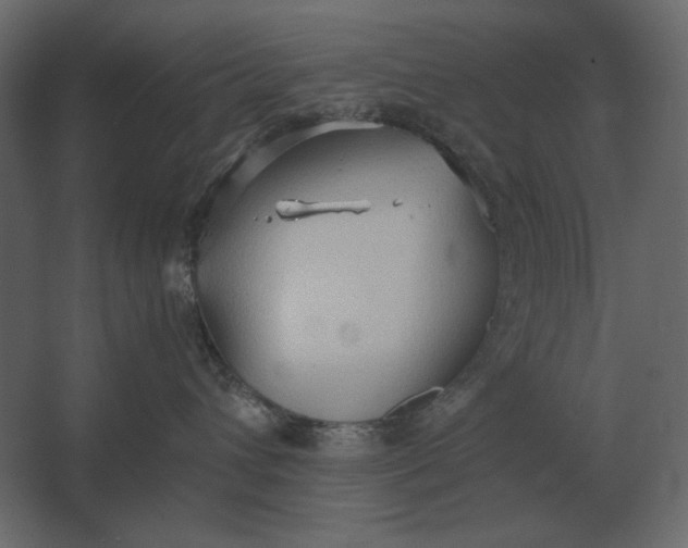 X0000067520432200604211822