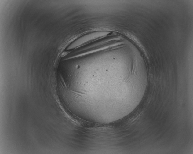 X0000067520433200604211821