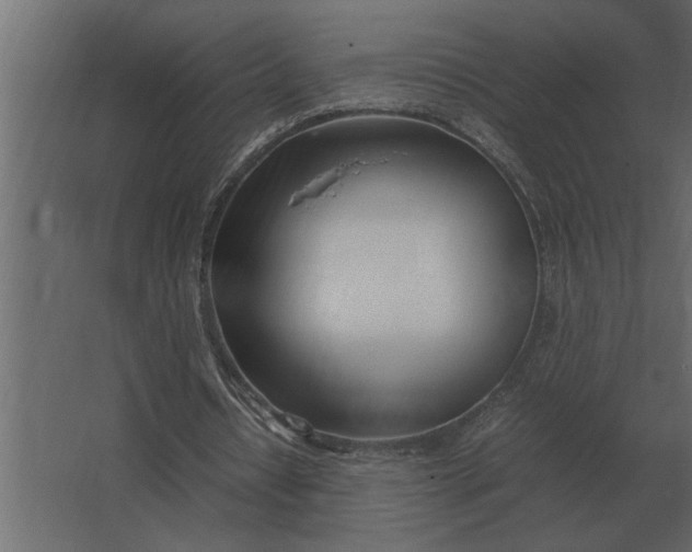 X0000067520434200604211821