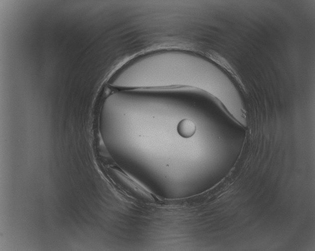 X0000067520436200604211821