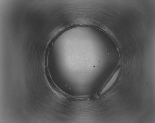 X0000067520438200604211821