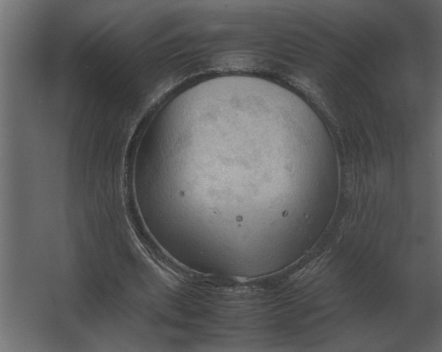 X0000067520439200604211821