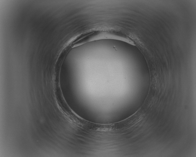 X0000067520440200604211821