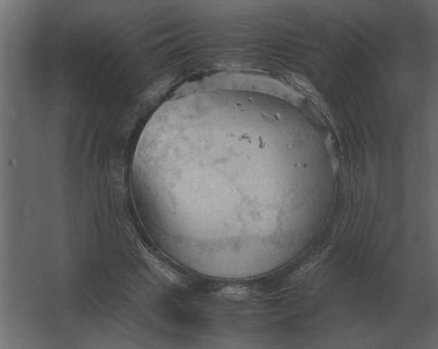 X0000067520441200604211821