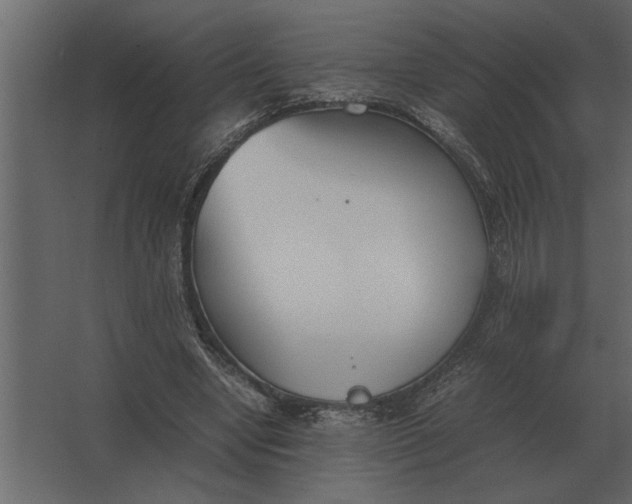 X0000067520442200604211821