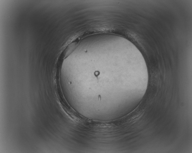 X0000067520443200604211821