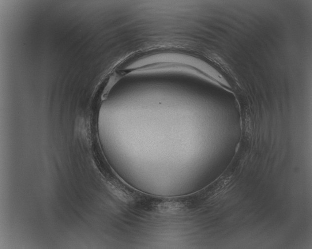 X0000067520444200604211821