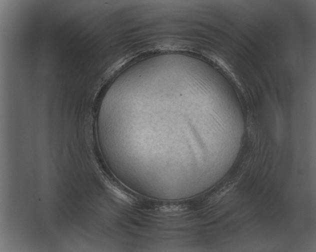 X0000067520445200604211821