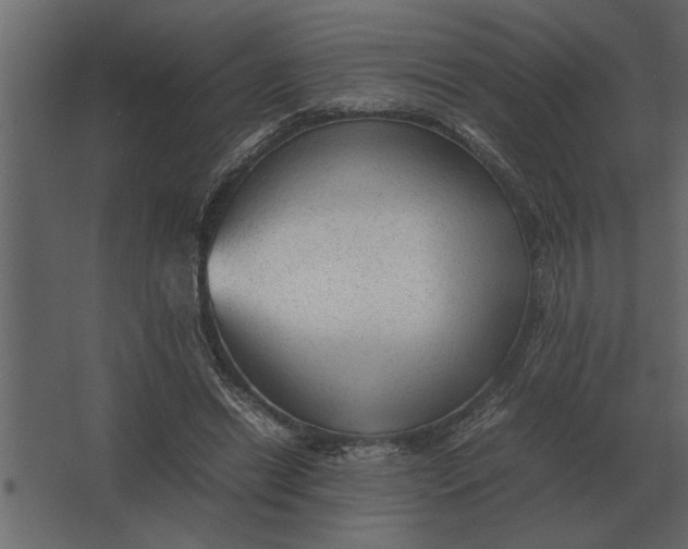 X0000067520446200604211821