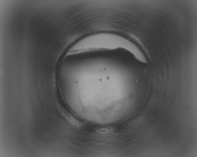 X0000067520447200604211821