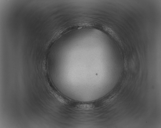 X0000067520449200604211821