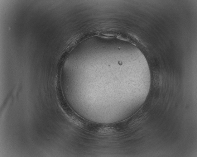 X0000067520451200604211821