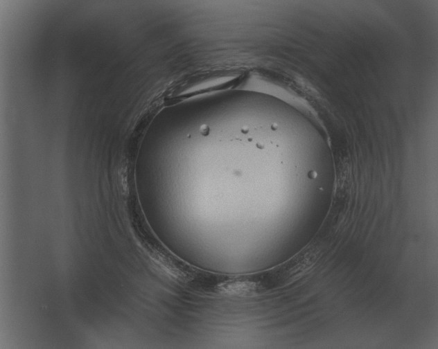 X0000067520452200604211821