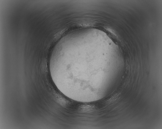 X0000067520453200604211821