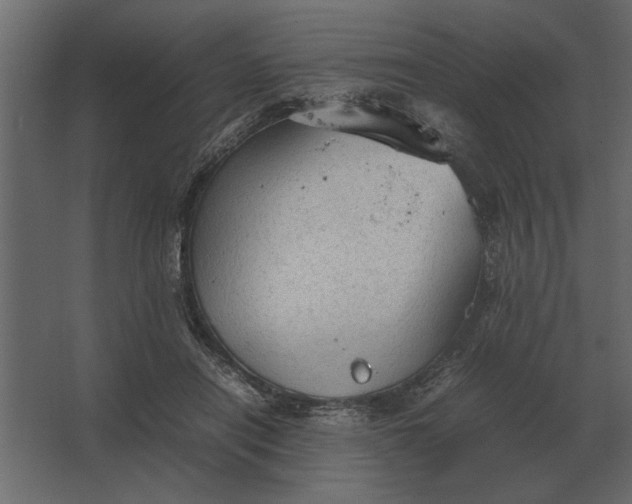 X0000067520454200604211821